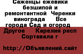 Саженцы ежевики безшипой и ремонтантной. Черенки винограда . - Все города Сад и огород » Другое   . Карелия респ.,Сортавала г.